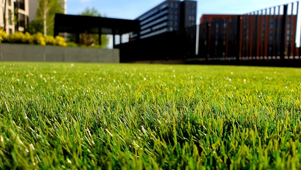 Overseeding & Thickening